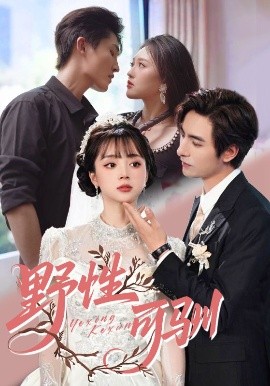 野性可驯封面图