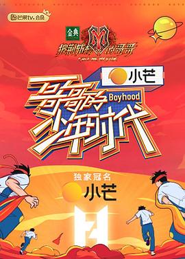 哥哥的少年时代封面图