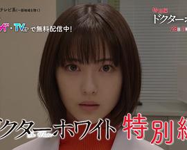 白夜医生特别篇封面图