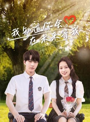 我知道你会在未来等我封面图