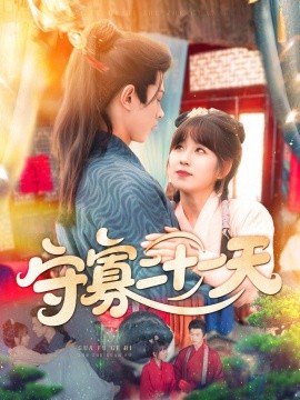 守寡二十一天封面图