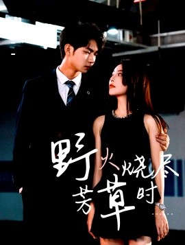 野火烧尽芳草时封面图