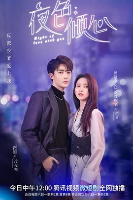 夜色倾心封面图