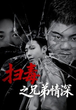 扫毒之兄弟情深封面图