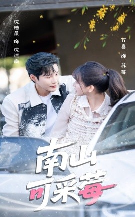 南山可采莓封面图