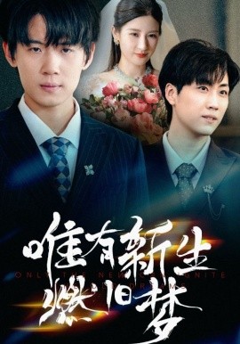 唯有新生燃旧梦封面图