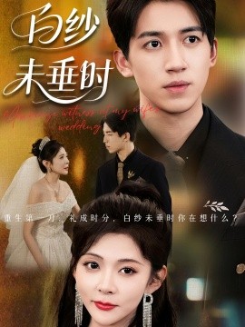 老婆婚礼我当证婚人 白纱未垂时封面图