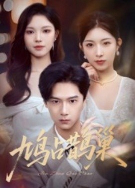 鸠占鹊巢 顶流夫人的致命陷阱封面图