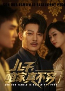 儿子，咱家真不穷封面图