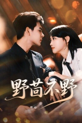 野茴不野封面图