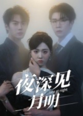 夜深见月明封面图
