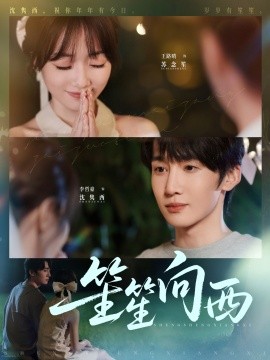 笙笙向西封面图