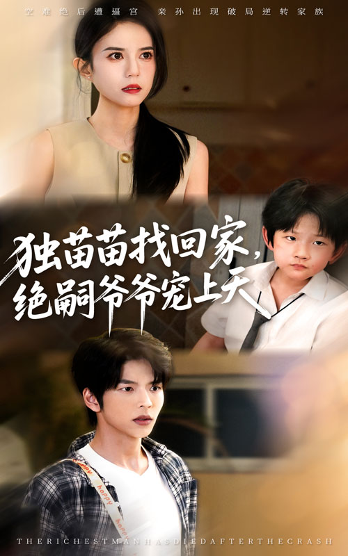 独苗苗找回家绝嗣爷爷宠上天封面图