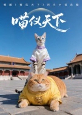喵仪天下封面图