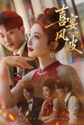 喜宴风波 替罪伴娘封面图