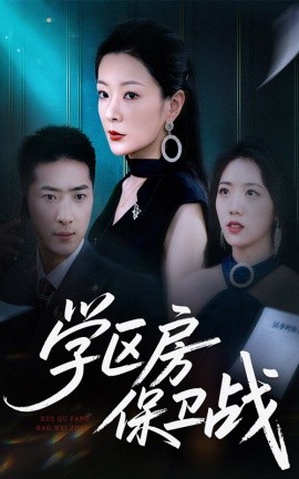 学区房保卫战 学区房的风波封面图