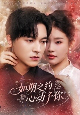 如期之约，心动予你封面图