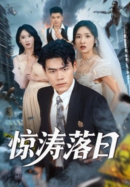 惊涛落日封面图