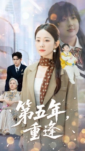 第五年，重逢封面图