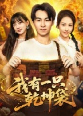 我有一只乾坤袋封面图