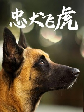 忠犬飞虎封面图