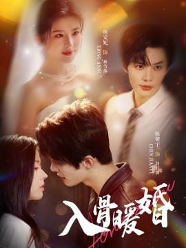 入骨暖婚封面图