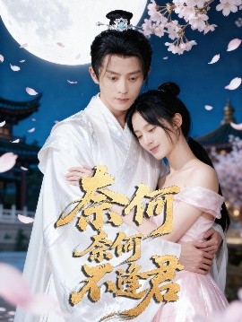 奈何奈何不逢君封面图