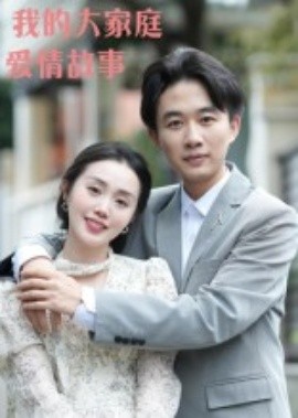 我的大家庭爱情故事封面图