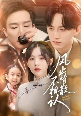风止情散不相认封面图