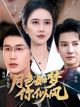 月色如梦你似风封面图