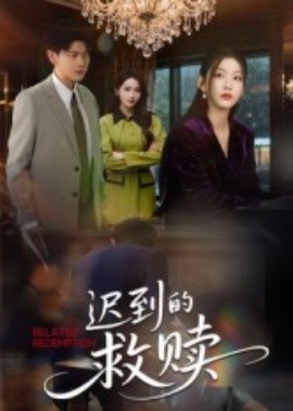 迟到的救赎封面图