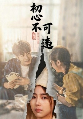 初心不可违封面图