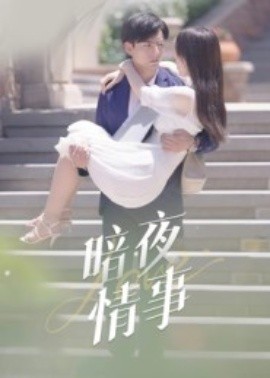 暗夜情事封面图